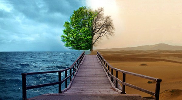 Environmental & Resettlement Studies